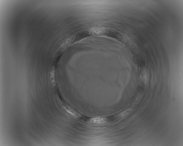 X0000056360526200509161831