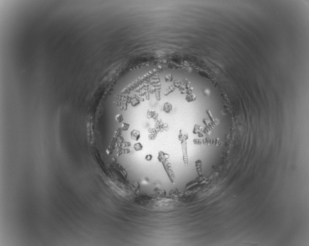 X0000056360527200509161831