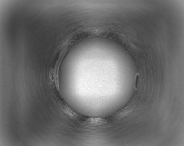 X0000056360528200509161831