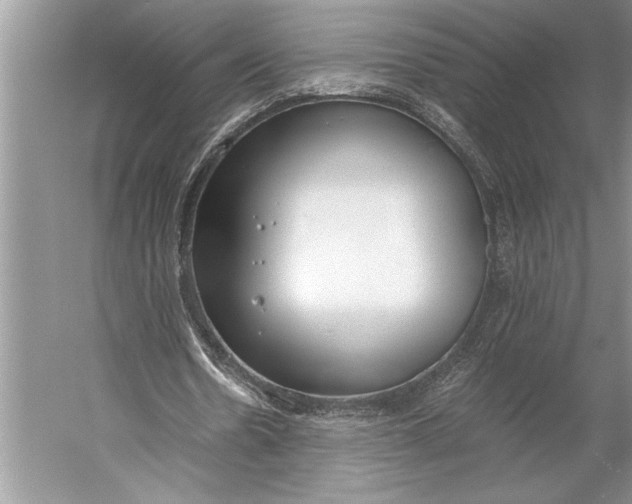 X0000056360530200509161830