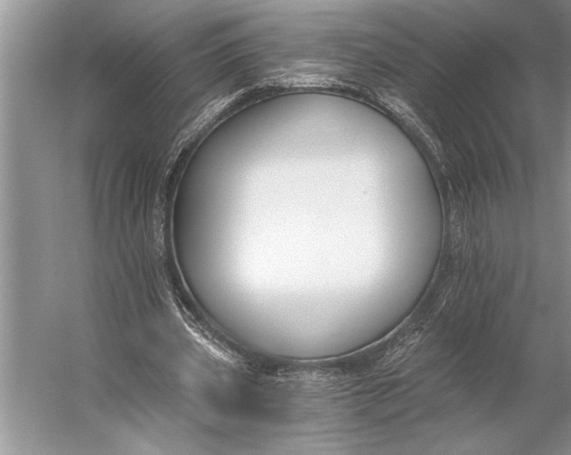 X0000056360533200509161831