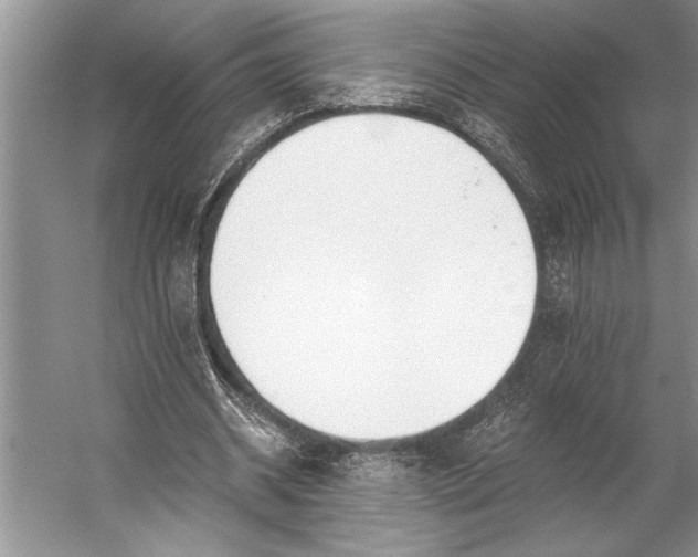 X0000056360534200509161831