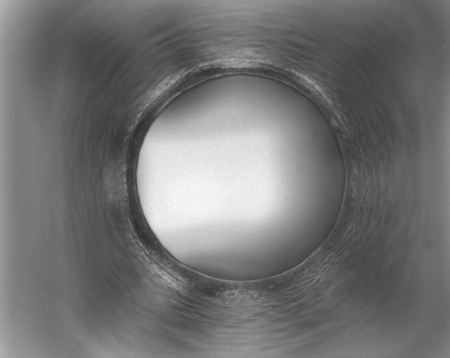 X0000056360535200509161831