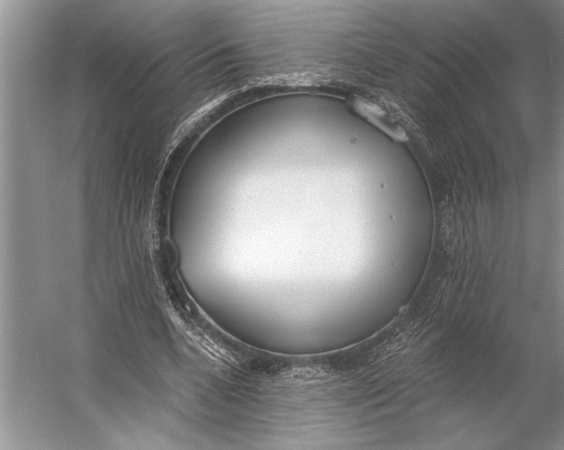 X0000056360536200509161831