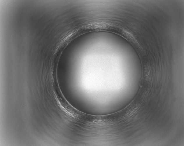 X0000056360538200509161831