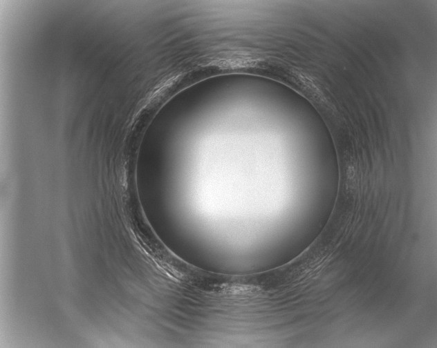 X0000056360539200509161831