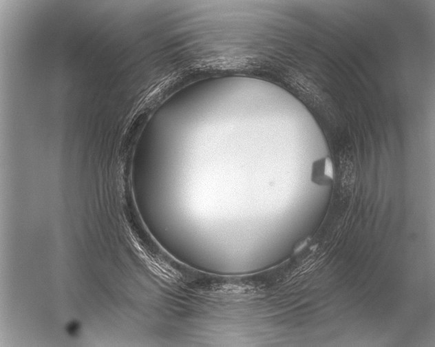 X0000056360542200509161831