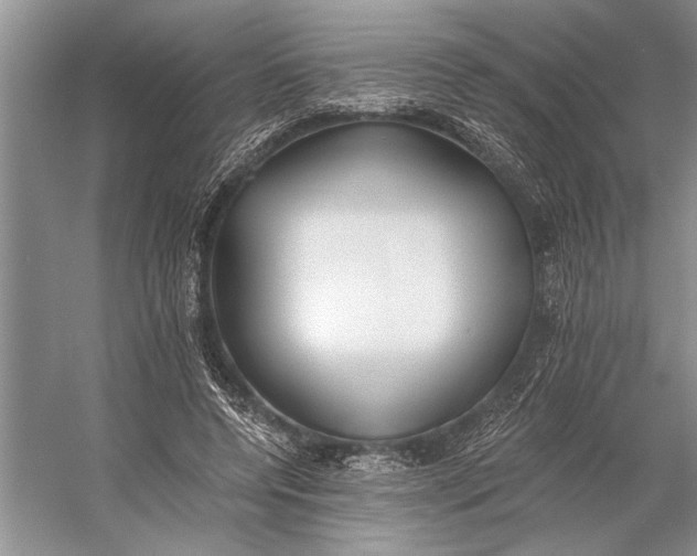 X0000056360544200509161831