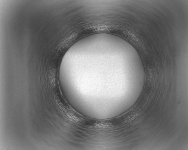 X0000056360545200509161831