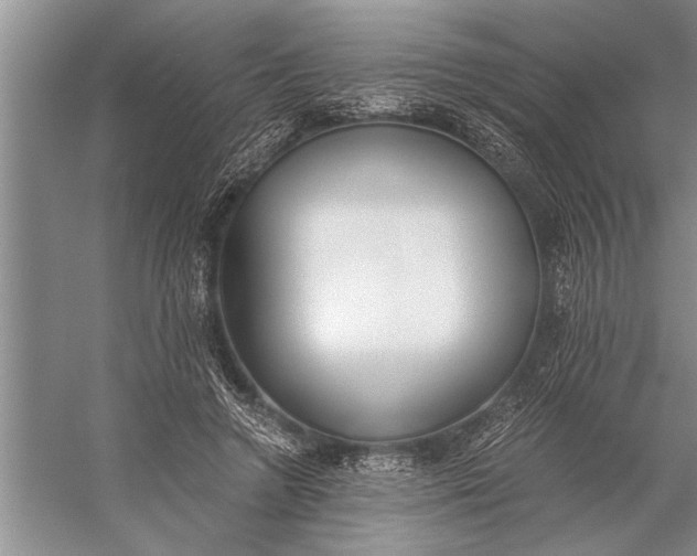 X0000056360546200509161831