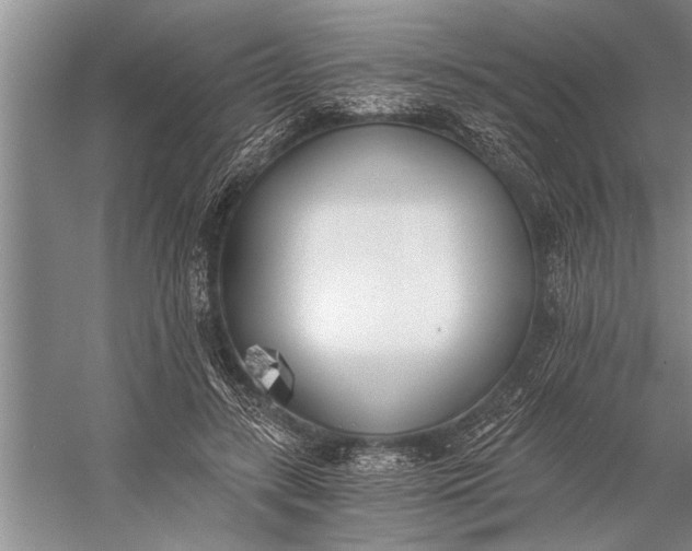 X0000056360547200509161831