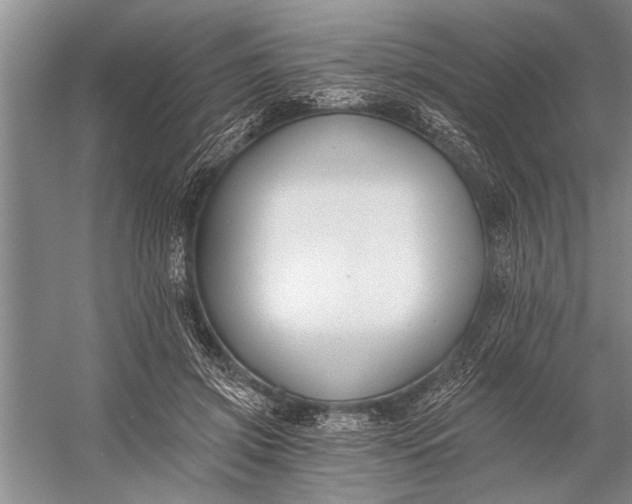 X0000056360549200509161831