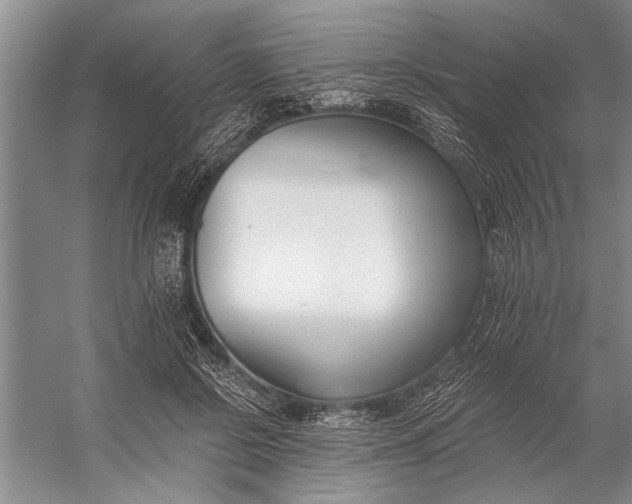 X0000056360550200509161831