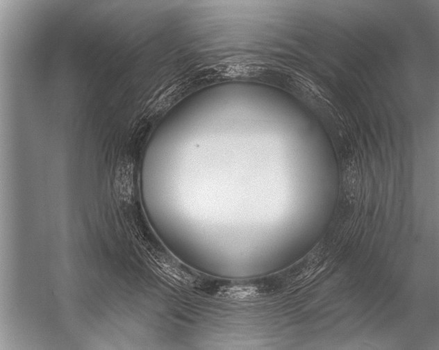 X0000056360554200509161831