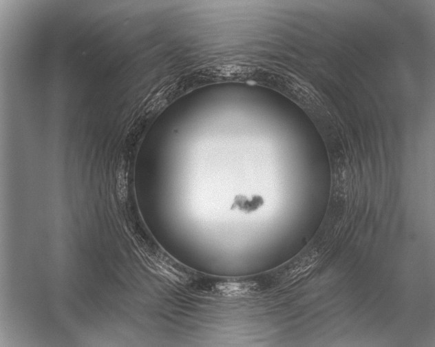 X0000056360558200509161831