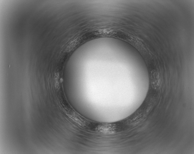 X0000056360563200509161831