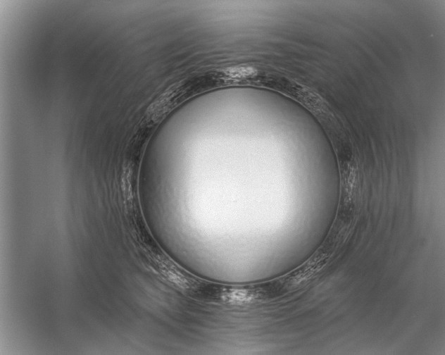 X0000056360565200509161831