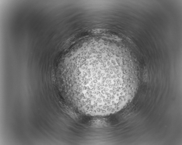 X0000056360569200509161831