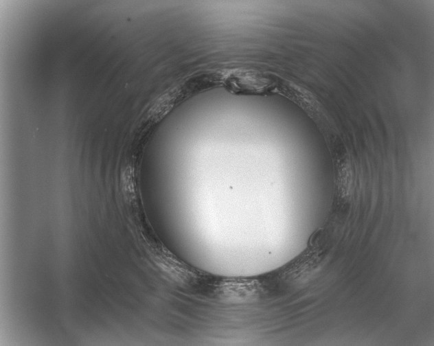 X0000056360571200509161831