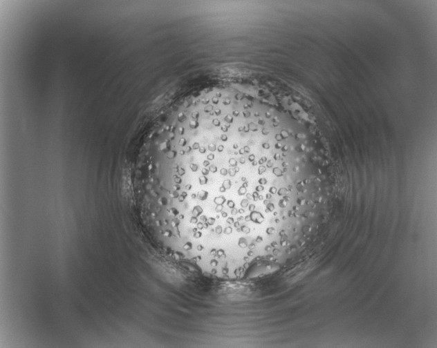 X0000056360573200509161831