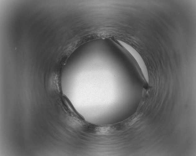 X0000056360575200509161831