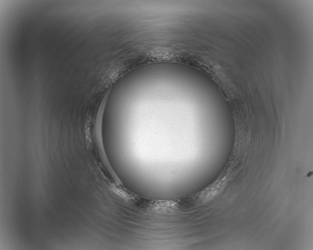 X0000056360576200509161831