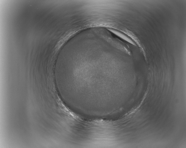 X0000056360577200509161830