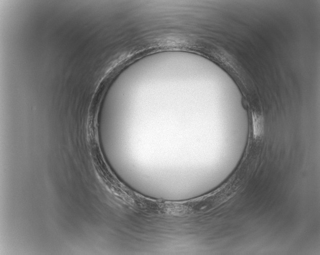 X0000056360579200509161830