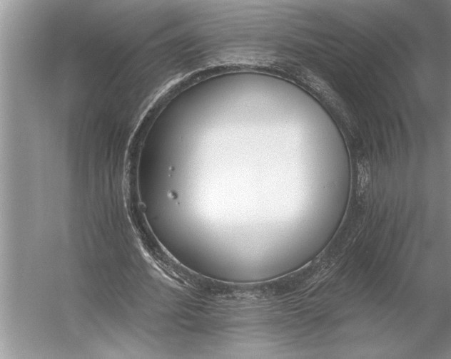 X0000056360580200509161830