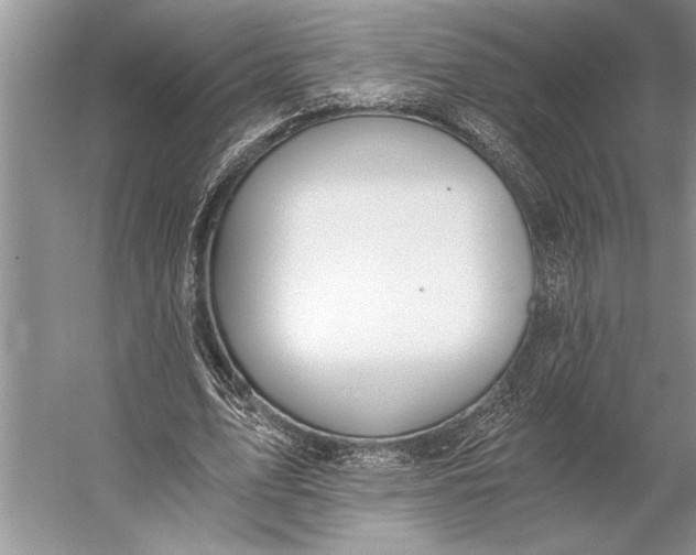 X0000056360583200509161830