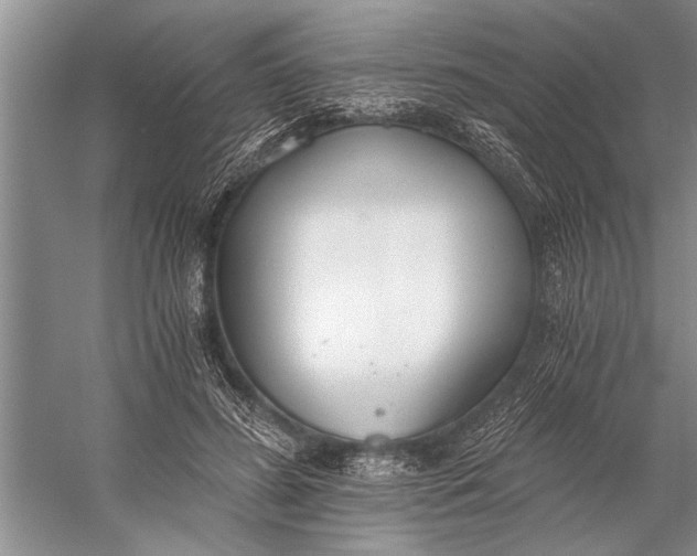 X0000056360596200509161830