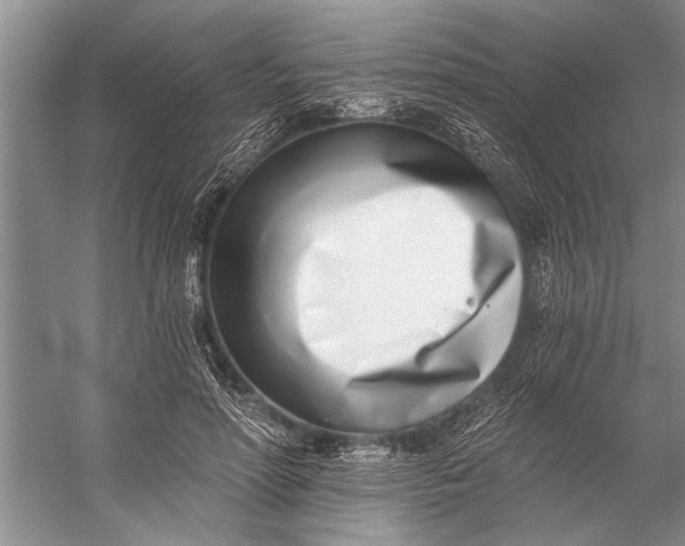 X0000056360598200509161830