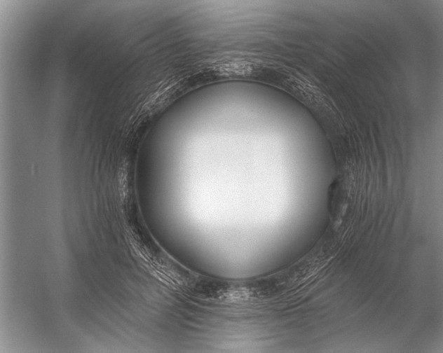 X0000056360600200509161830