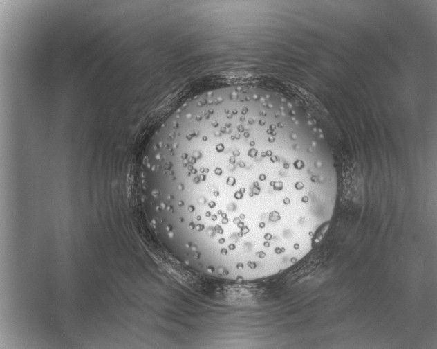 X0000056360618200509161830