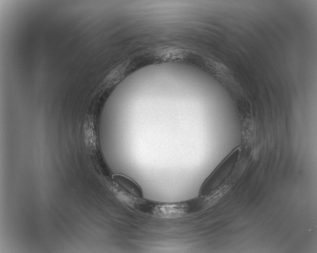 X0000056360622200509161830