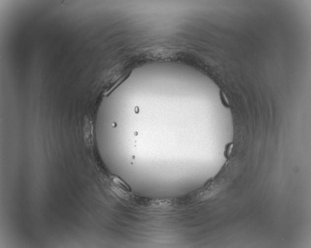 X0000056360624200509161830