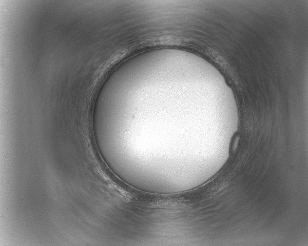 X0000056360625200509161829