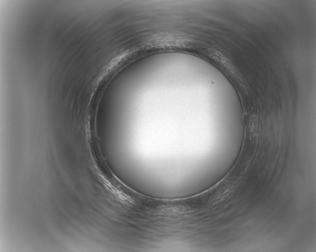 X0000056360629200509161829