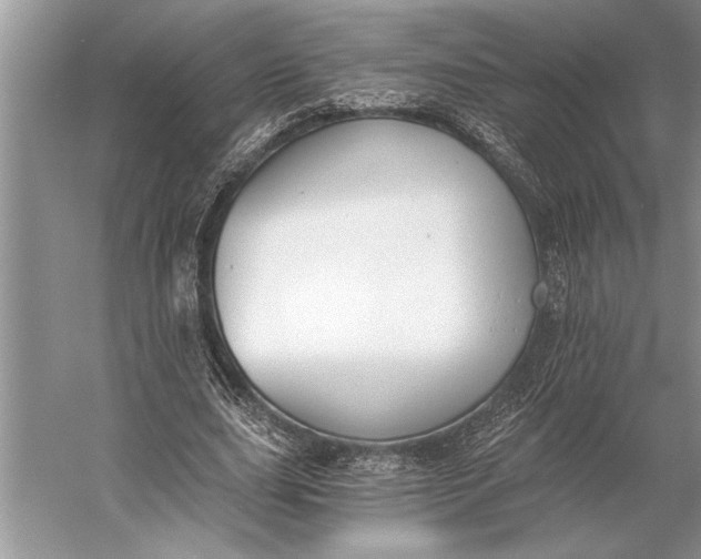 X0000056360631200509161829