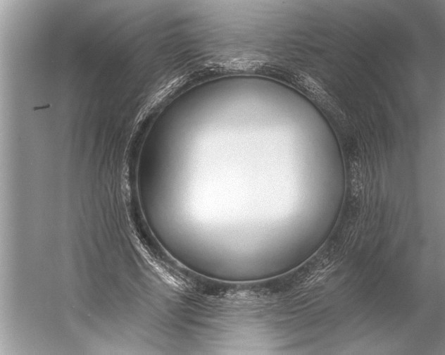 X0000056360634200509161829