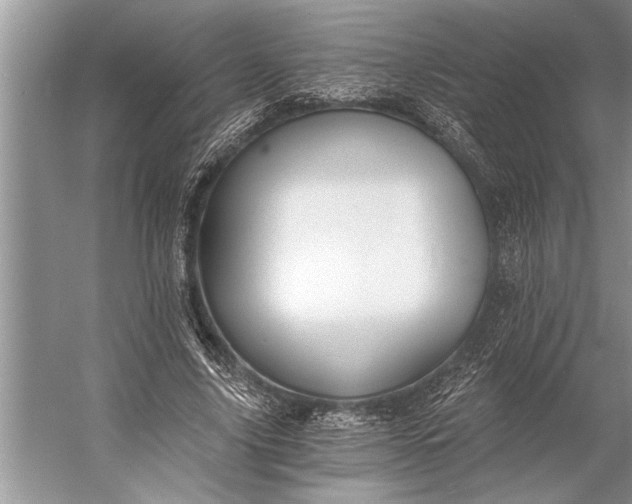 X0000056360635200509161829