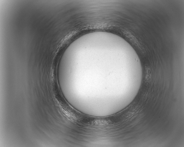 X0000056360636200509161829