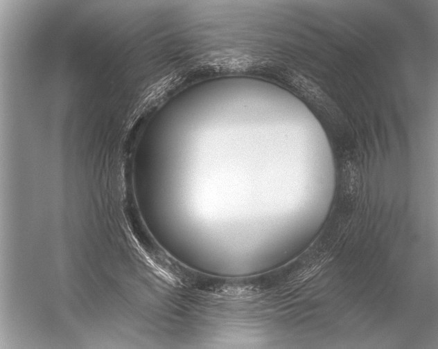 X0000056360638200509161829