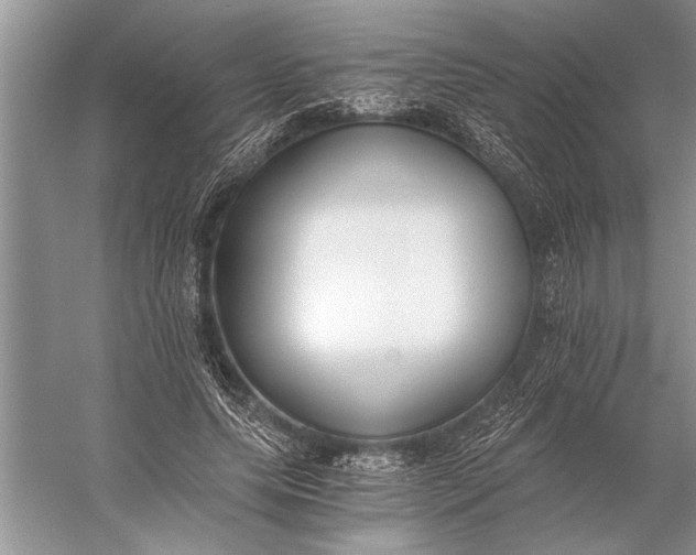 X0000056360639200509161829