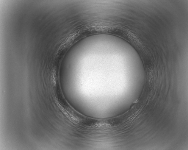 X0000056360644200509161829