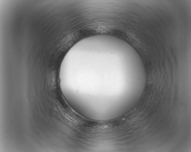 X0000056360646200509161829