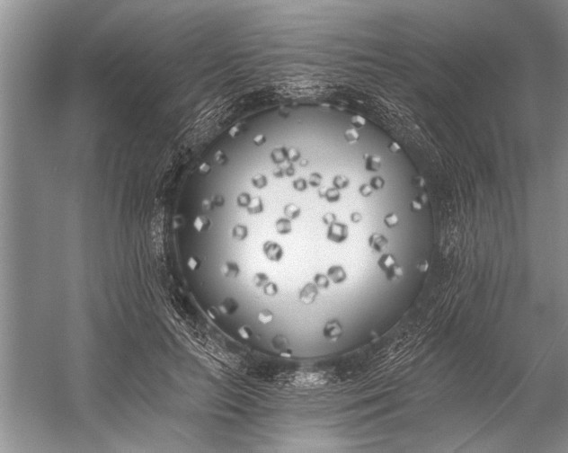 X0000056360647200509161829