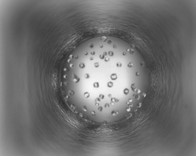 X0000056360648200509161829