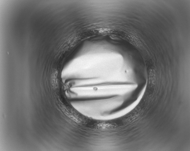 X0000056360650200509161829