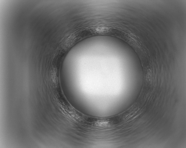 X0000056360651200509161829